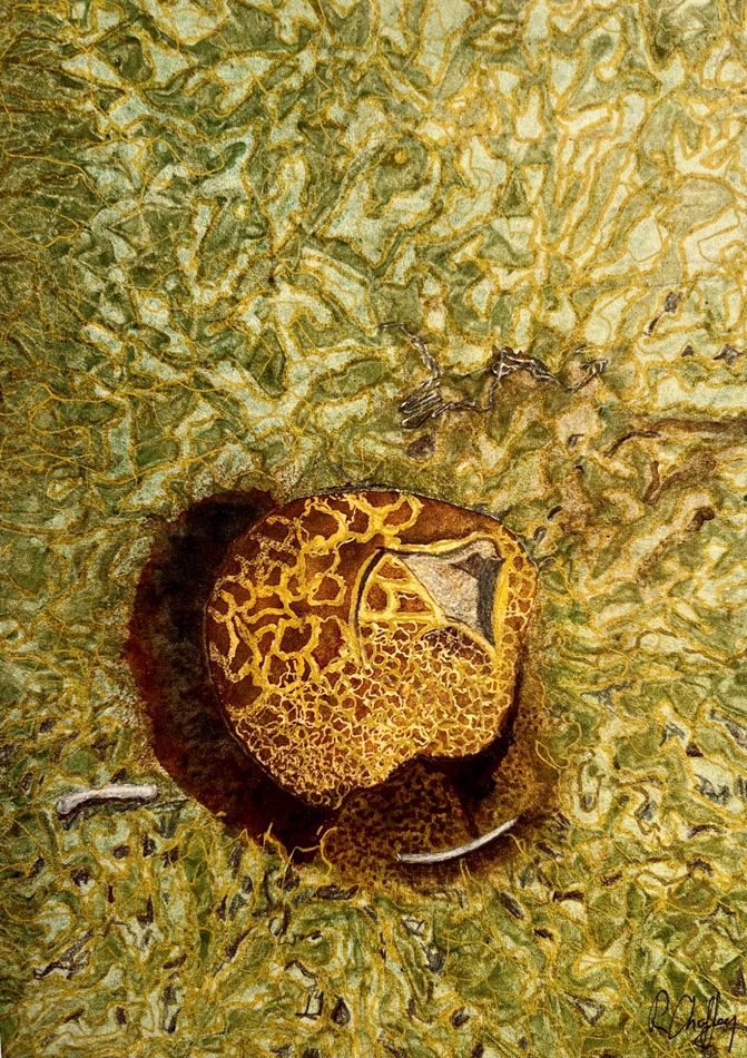 earthball